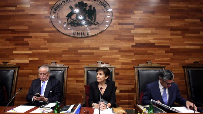 TC declara inconstitucional artículo clave de proyecto contra el negacionismo