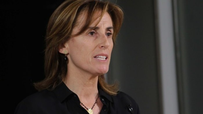 Proceso constituyente: Cubillos expresa apoyo a que Partido Republicano se una a Chile Vamos en elecciones