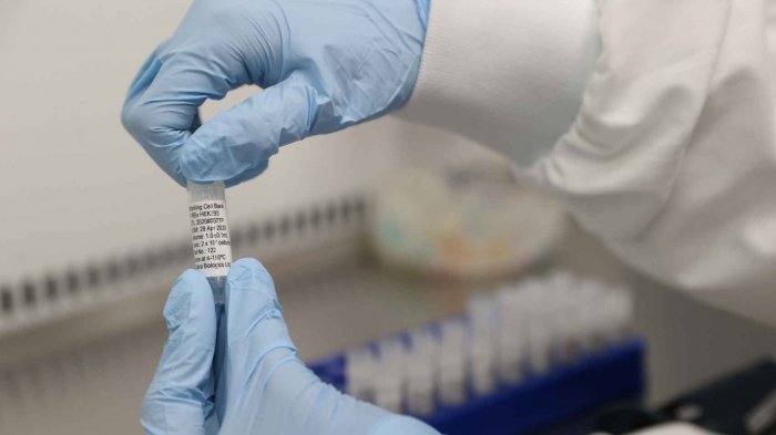 Moderna espera anunciar a fin de mes si su vacuna contra el COVID-19 funciona