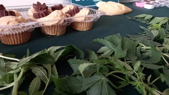 Antofagasta: Familia de 