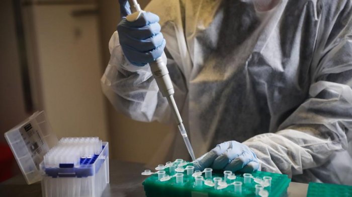 Creador de la vacuna de Pfizer contra el COVID- 19 estima cuándo volveríamos a la 