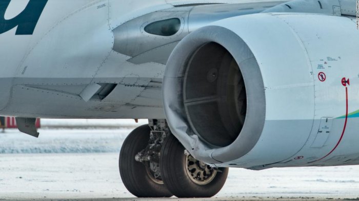 Un avión golpeó y mató a un oso durante un aterrizaje en Alaska