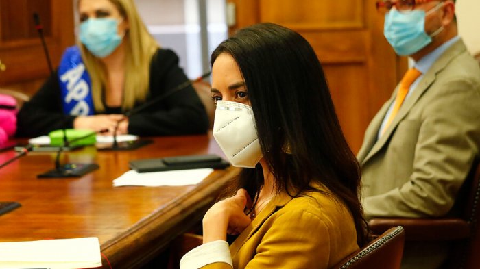 Paulina Núñez por proyecto de Camila Vallejo: 