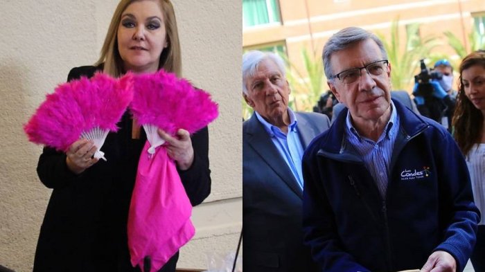 Cadem: Pamela Jiles derrotaría a todos los candidatos de Chile Vamos, excepto a Lavín