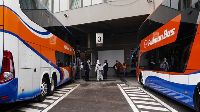 Permiso interregional ya no será necesario y sólo pedirán el pasaporte sanitario: Revisa aquí cómo obtenerlo