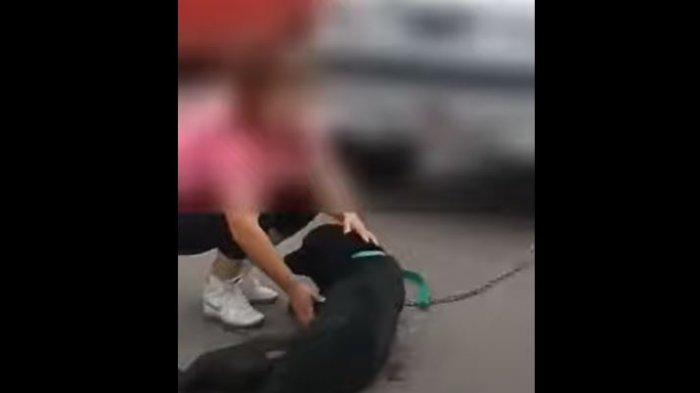 Mujer amarró a su perro con una cadena al auto y lo arrastró por varias cuadras