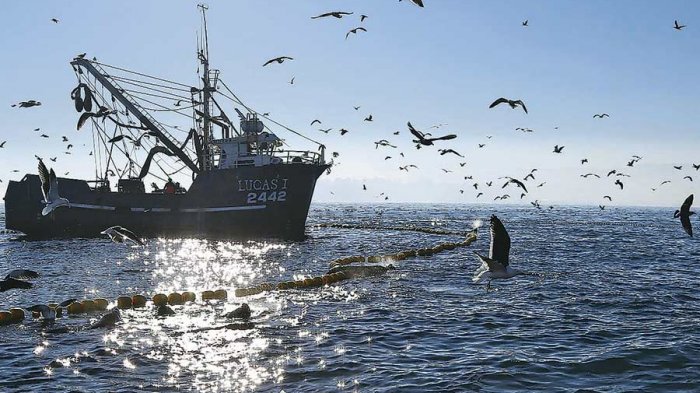 Gobierno anuncia que irá al TC para evitar que se anule la Ley de Pesca