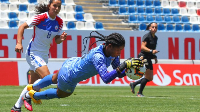 Pese a golazo de Karen Araya, la Roja cayó ante Zambia en San Carlos
