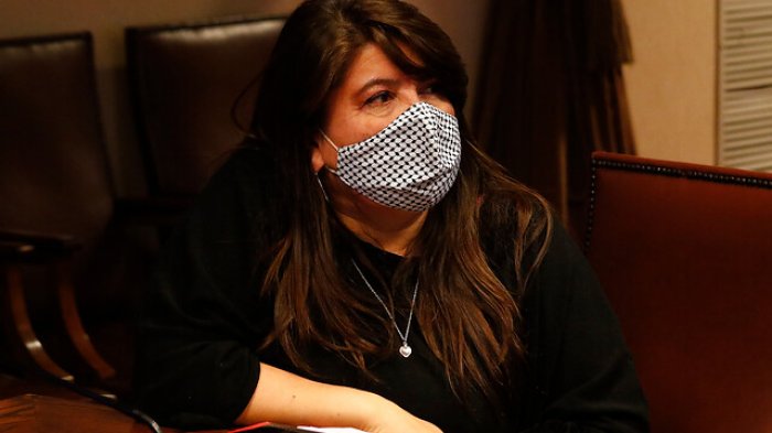 Diputada Mix no pudo votar en las primarias: 