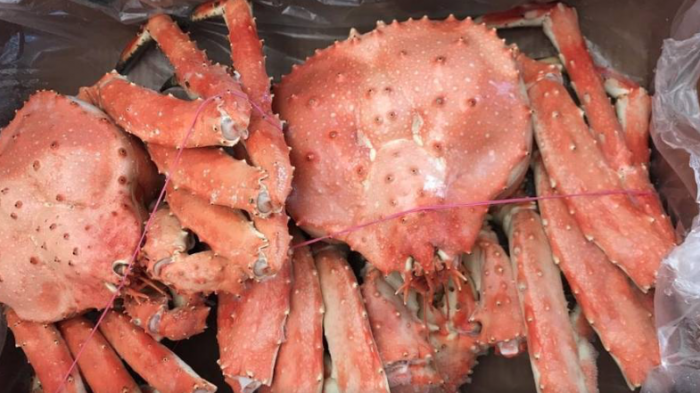 Sernapesca suspendió empresa tras denuncia de China de hallar COVID-19 en productos marinos chilenos