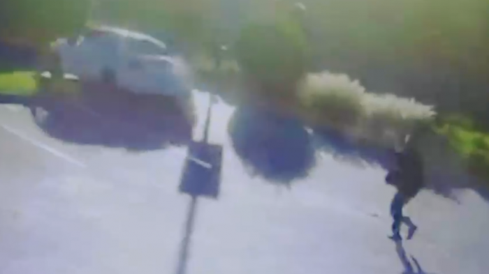 Nuevos antecedentes tras robo que repelió escolta de ministro Briones: Protocolo genera opiniones divididas