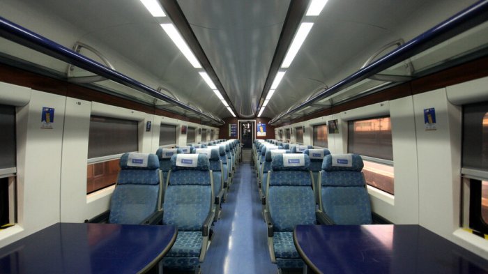 Renovarán servicio de trenes Alameda-Chillán: Viaje demorará menos de 4 horas