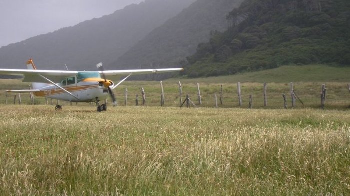 No quieren turistas por el eclipse: Vecinos de Isla Mocha amenazaron con tomarse el aeródromo
