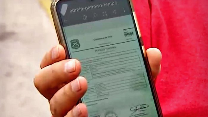 Divulgaciones de RUT: Detectan falla masiva con datos en Comisaría Virtual