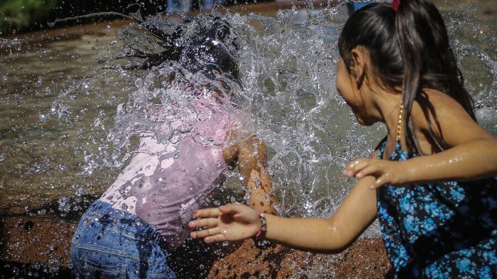 Noviembre del 2020 ha sido el más caluroso del planeta, según registros históricos