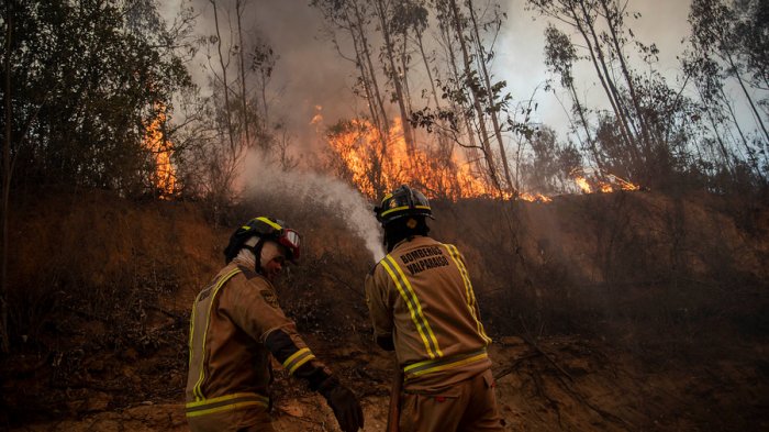 Valparaíso: Onemi declara Alerta Roja en la comuna por incendio forestal en Laguna Verde