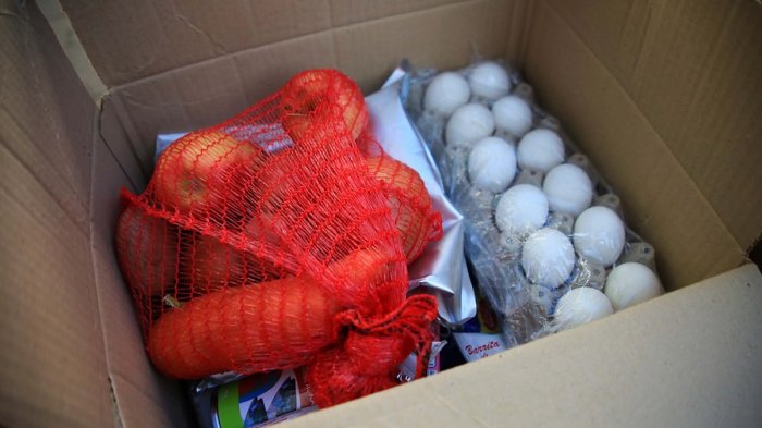 Los Ríos: Retiran conservas de jurel entregadas por Junaeb tras sospechas de larvas