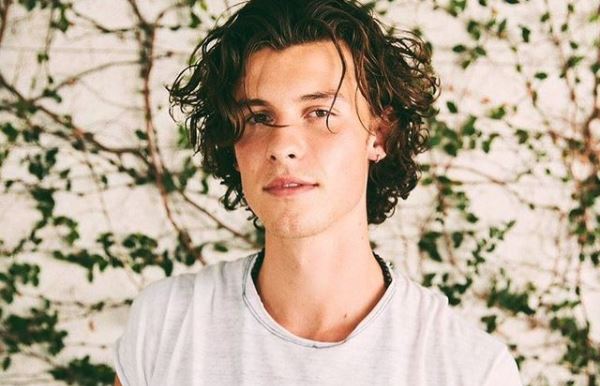 Shawn Mendes: “No, no soy gay, pero si lo fuera estaría todo bien