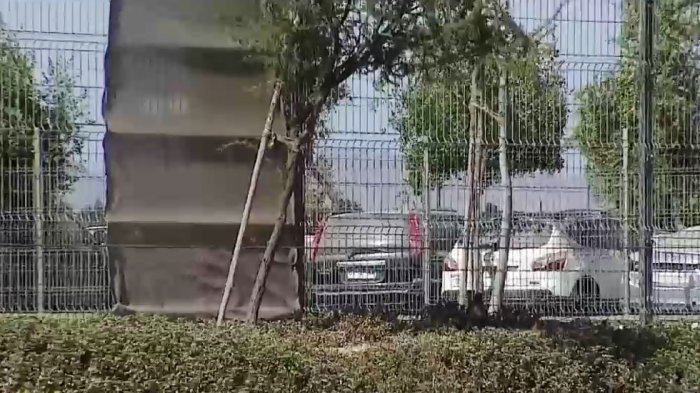 Corral municipal le pide más de $1.600.000 para recuperar su auto que había sido robado