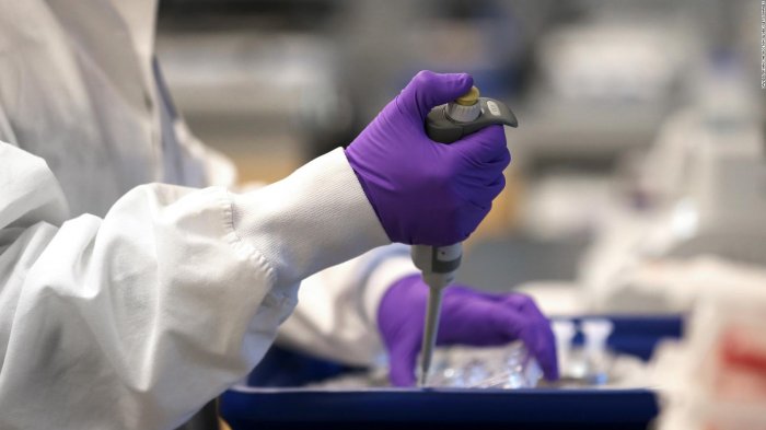 Estudio de la Universidad de Magallanes reveló nueve mutaciones de COVID-19 en zona austral del país