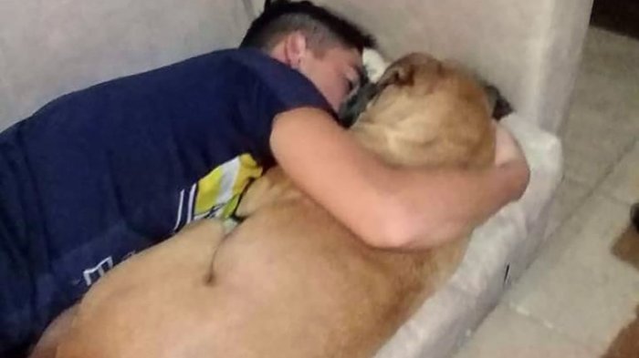 Perrita murió en los brazos de su dueño luego que fuegos artificiales le causaran un ataque