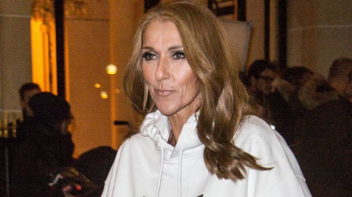 Hombre cambió su nombre a Celine Dion durante una noche de borrachera