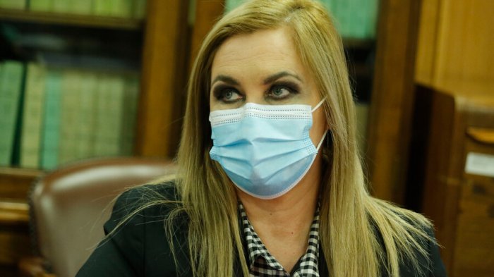 Jiles y apoyo de Bachelet a Narváez: 