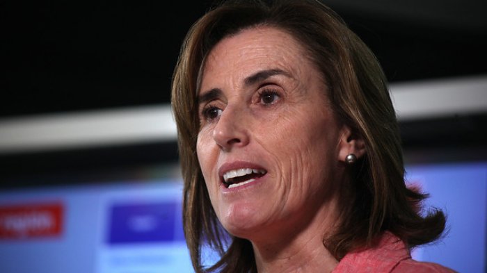 Cubillos anunció candidatura a la Constituyente: 