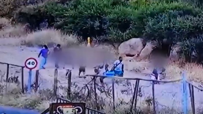 53 personas fueron detenidas por ingresar al Parque Quebrada de Macul en cuarentena