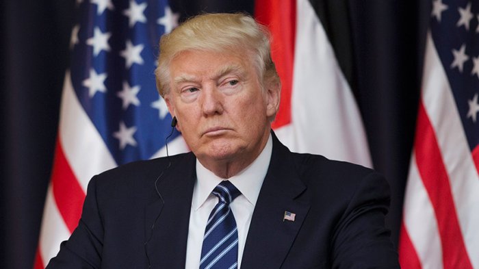 Para destituir a Trump: Parlamentarios pedirán a vicepresidente de EE.UU. invocar Enmienda 25