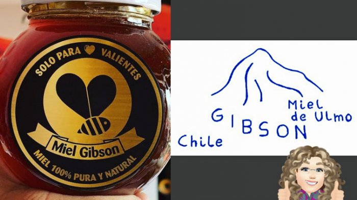 De demandada a demandante: Creadora de Miel Gibson presenta acción judicial contra empresaria que solicitó la marca