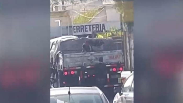 Así atacan nuevas bandas que asaltan camiones en pleno taco: Roban las cargas en segundos