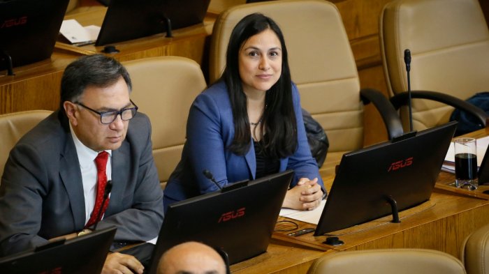 Diputada Muñoz y despenalización del aborto: “Estamos en emergencia sanitaria, intentando salvar vidas, no matarlas”