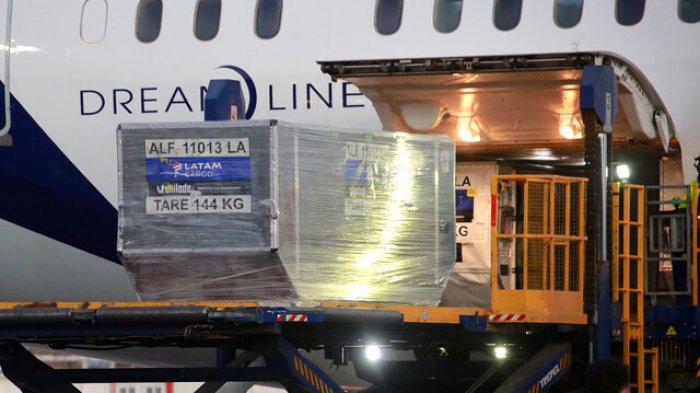 Chile recibe nuevo cargamento con 88 mil dosis de la vacuna de Pfizer contra el COVID-19