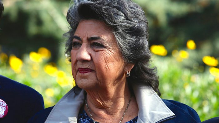 Desde 1992 en el municipio: Virginia Reginato será candidata a concejal de Viña del Mar