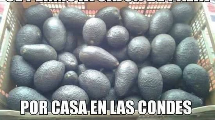 ¿Oro verde? Los memes que se han viralizado por el alza en el precio de las paltas
