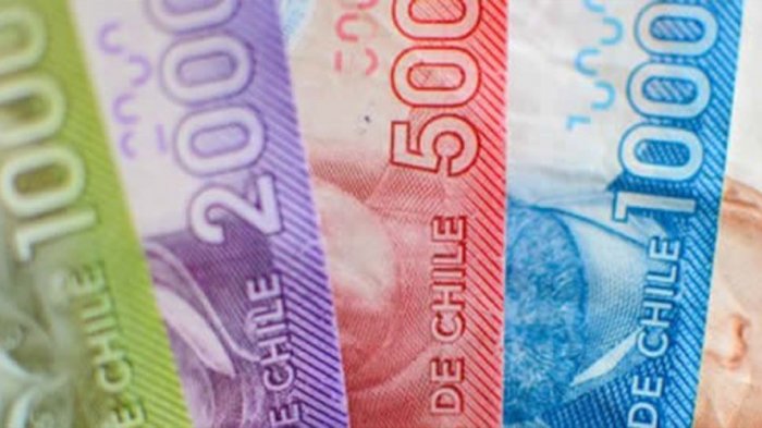 ¿Cómo cobrar y cuáles son los montos del Bono de Protección 2021?