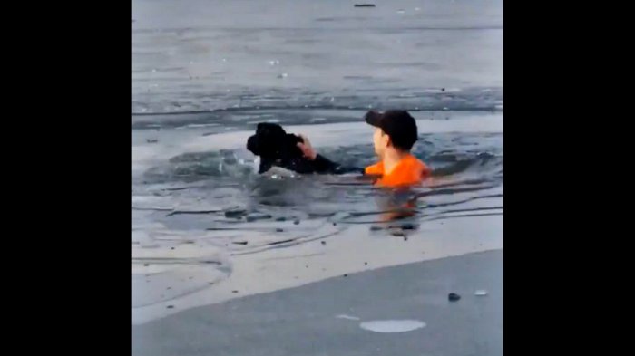 Sin frío y al rescate: Hombre saltó a un lago congelado para salvar a un perro
