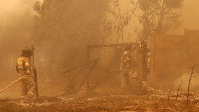 Gobernadora Corti y origen de incendios: 