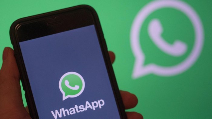 No va más, por ahora: WhatsApp suspende la actualización de sus políticas de privacidad