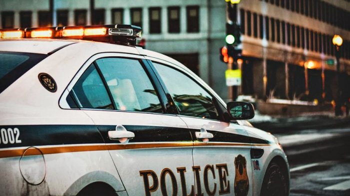 Delincuente se robó un auto con un niño adentro y se devolvió para regañar a la madre