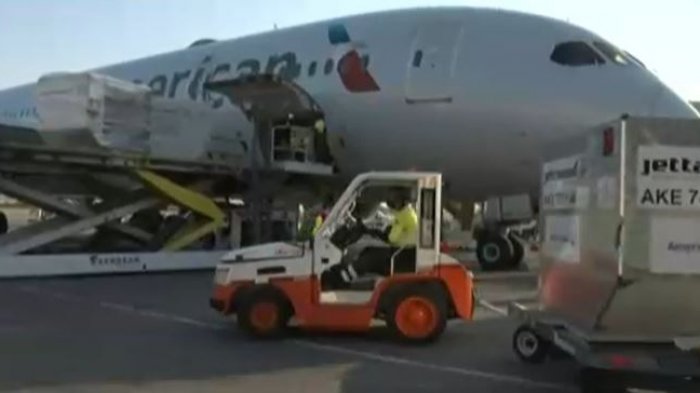 Cuarto cargamento de Pfizer: Llegaron 43.875 nuevas vacunas para combatir al COVID-19