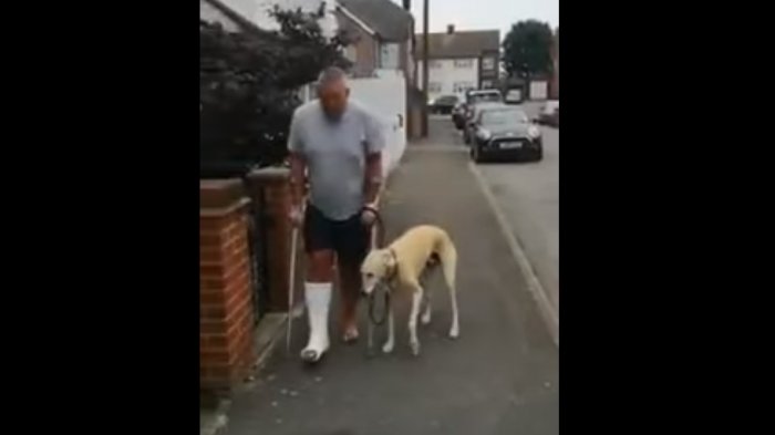 Hombre gastó $300 mil en el veterinario pensando que su perro estaba cojo: Lo estaba imitando a él