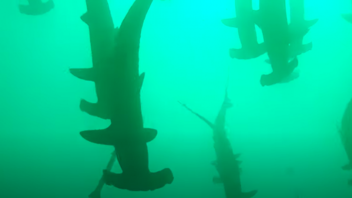 “Fue una experiencia dramática