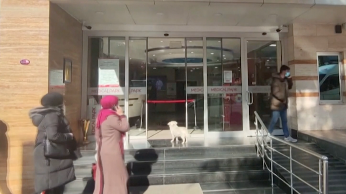 Perro se escapa de su casa durante 6 días para visitar a su dueño que estaba en el hospital