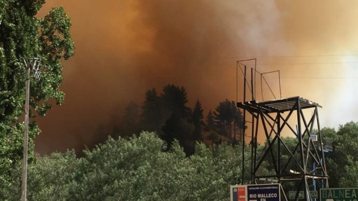 La Araucanía: Ordenan evacuar sector Las Toscas por incendio forestal en Collipulli