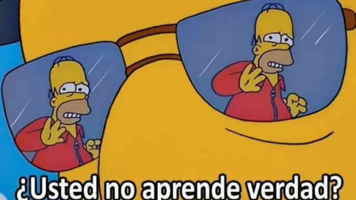 De Los Simpson a Bernie Sanders: Los memes que dejó la alarma de la Onemi