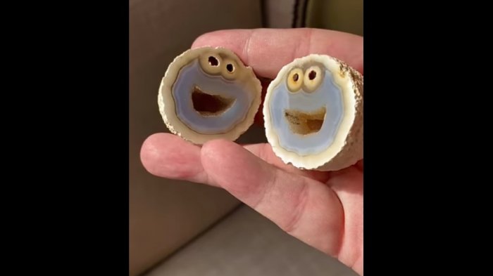 Geólogo encontró una roca idéntica al monstruo come galletas: Le ofrecieron 100 mil dólares por ella