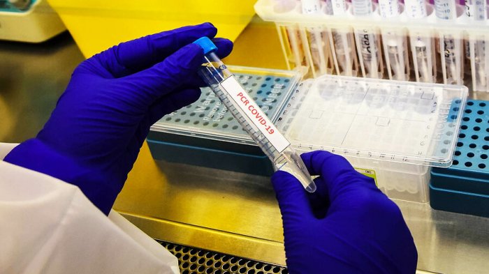 Fármaco español reduciría casi el 100% de la carga viral del coronavirus