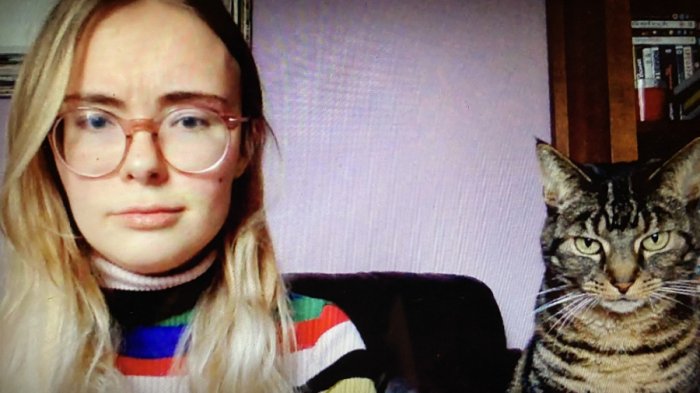 Las llamadas de Zoom son su obsesión: Gatita es viral por su inquietante mirada a la cámara